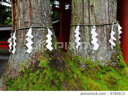 Shimenawa in Japanese temple 9780813