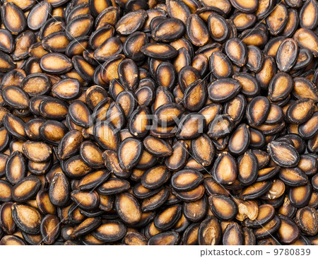 Watermelon seed in black Watermelon seed in black 9780839