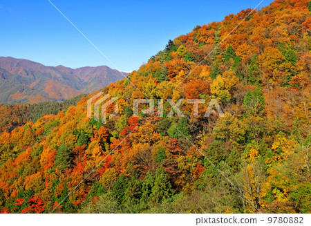 Colouful mountain during Autumn season 9780882