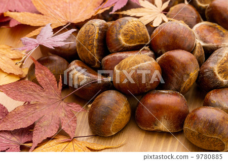 Chestnut and autumn maple Chestnut and autumn maple 9780885