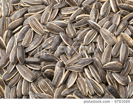 Sunflower seed 9781089