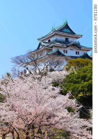 Wakayama castle 9781180