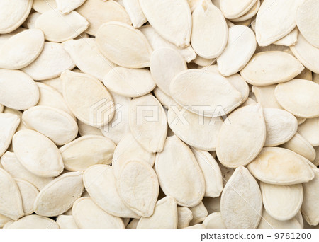 White Pumpkin seed 9781200