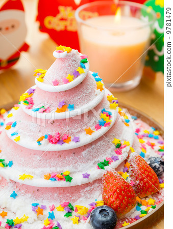 Christmas cake 9781479