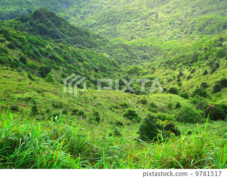 Green mountain Green mountain 9781517