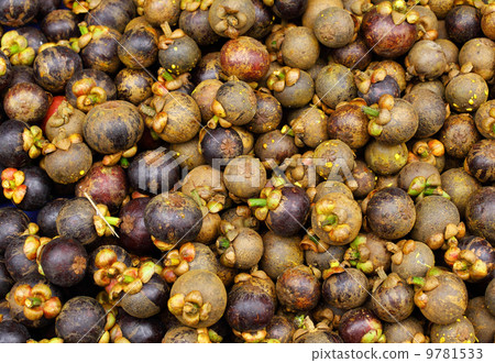 Mangosteen Mangosteen 9781533