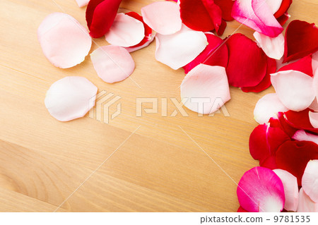 Rose petal Rose petal 9781535