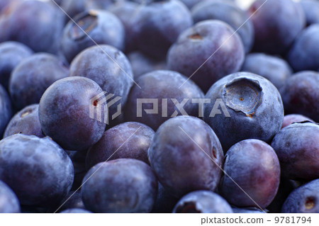 Blueberry Blueberry 9781794