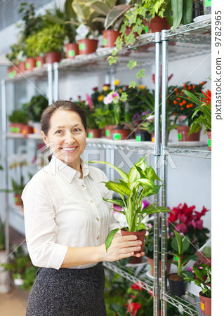 woman with Dieffenbachia plant 9782965