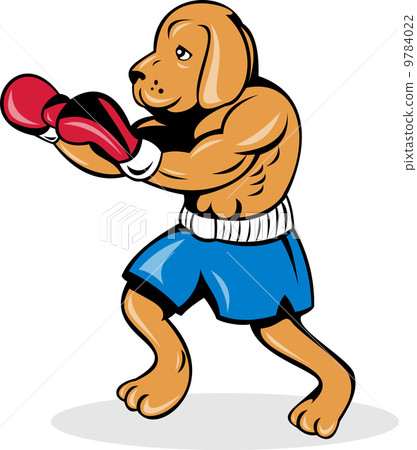 boxer dog with gloves boxer dog with gloves 9784022