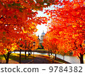 Montreal in autumn 9784382