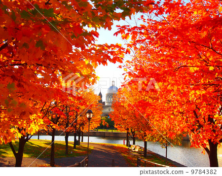 Montreal in autumn 9784382