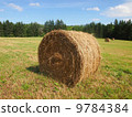 Roll veil of Prince Edward Island 9784384