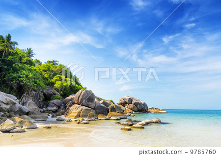 Beautiful tropical landscape. Samui Island, Thailand 9785760