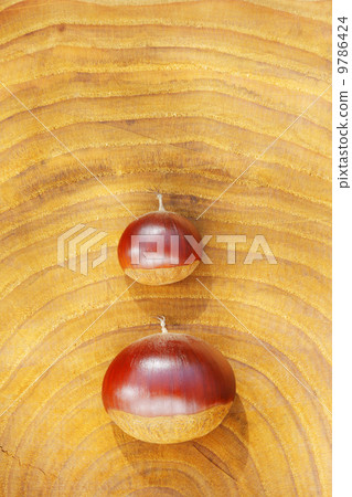 On the stump of autumn taste · chestnut / chestnut tree 9786424