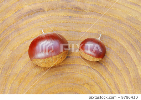On the stump of autumn taste · chestnut / chestnut tree 9786430