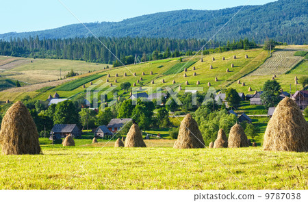Summer mountain rural view with haystacks (Carpathian, Ukraine) Summer mountain rural view with haystacks (Carpathian, Ukraine) 9787038