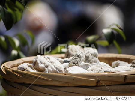 Oshiroishi Power Stone Transitional Palace Event Ise Jingu Goshoden paving stone image material 9787234