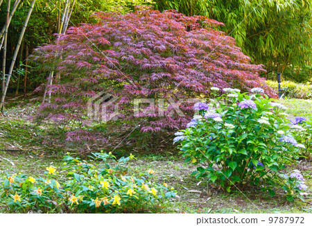 beautiful summer city park beautiful summer city park 9787972