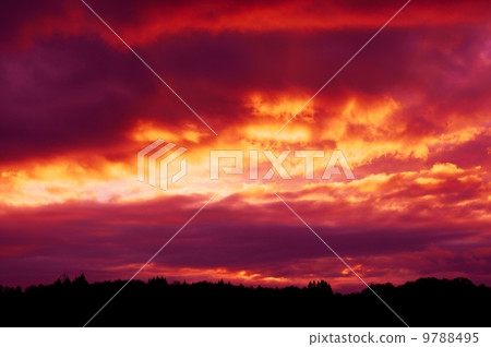 Fantastic sky A Fantastic Sky 9788495