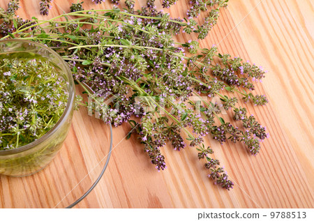 Thyme tea Thyme tea 9788513