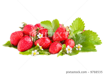 Ripe strawberries 9788535