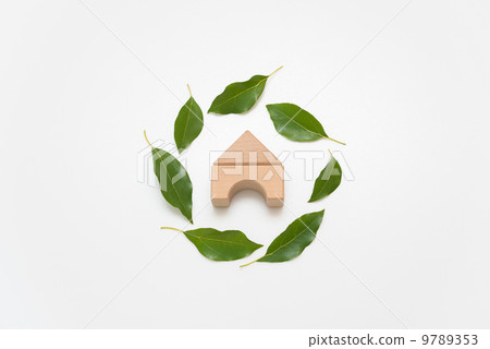 House Konoha 9789353