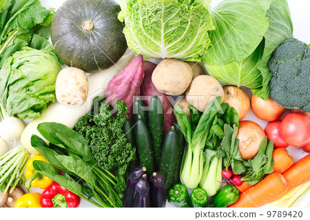 Vegetables 9789420