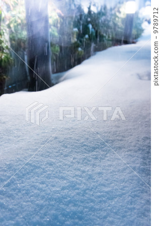 下雪的夜晚 下雪的夜晚 9789712