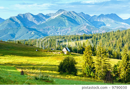 Summer mountain country view 9790030