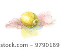 Lemon_ watercolor 9790169