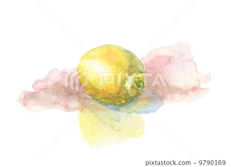 Lemon_ watercolor 9790169