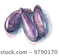 Eggplant _ watercolor 9790170