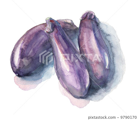 茄子_水彩 9790170