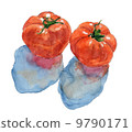 Tomato _ watercolor 9790171
