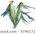 Corn watercolor 9790172