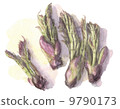 Bud of spatula watercolor 9790173