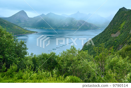 Summer Senja coast (Norway) 9790514