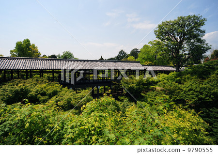 東福寺大橋-3 東福寺大橋-3 9790555