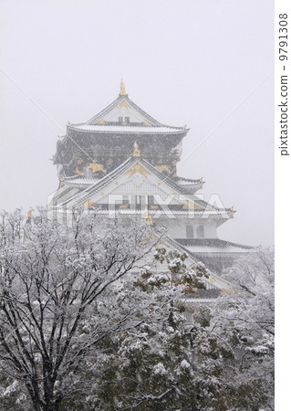 Osaka Castle  9791308