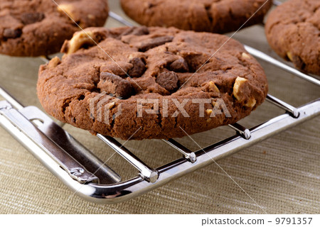 Fresh homemade chocolate cookies 9791357