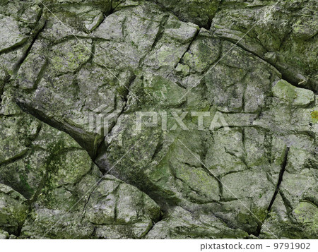 texture texture 9791902