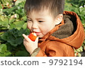 Strawberry picking 9792194