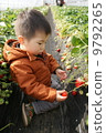 Strawberry picking 9792265