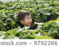 Strawberry picking 9792266