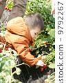 Strawberry picking 9792267