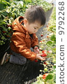 Strawberry picking 9792268