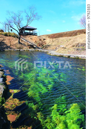 南阿蘇村春泉集團小池水源 9792883