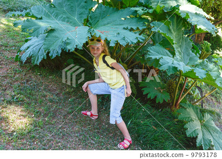 Child under the big leaf Child under the big leaf 9793178