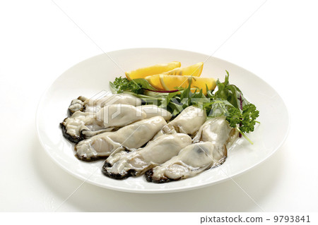 Oyster Oyster 9793841